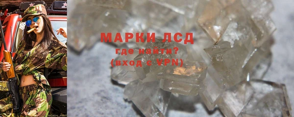 прущие грибы Белоозёрский