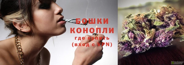 прущие грибы Белоозёрский