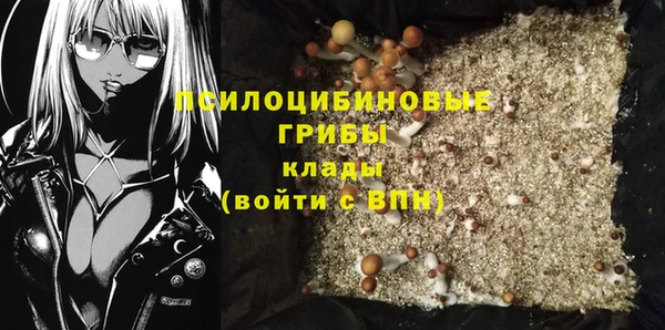 прущие грибы Белоозёрский