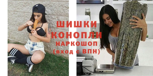 прущие грибы Белоозёрский