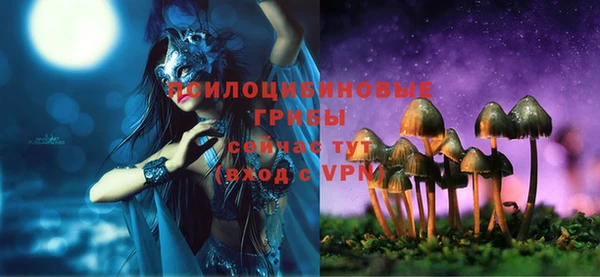 прущие грибы Белоозёрский