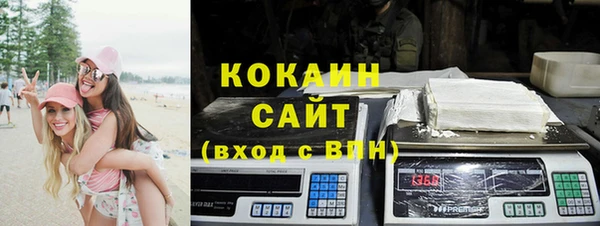 прущие грибы Белоозёрский