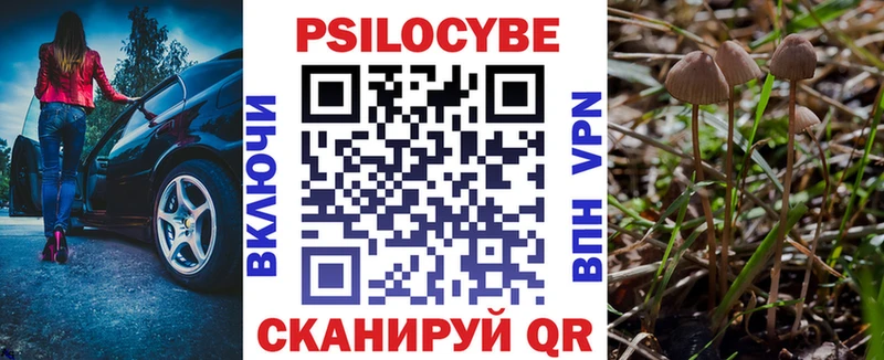 Купить  Мценск  Галлюциногенные грибы ЛСД 
